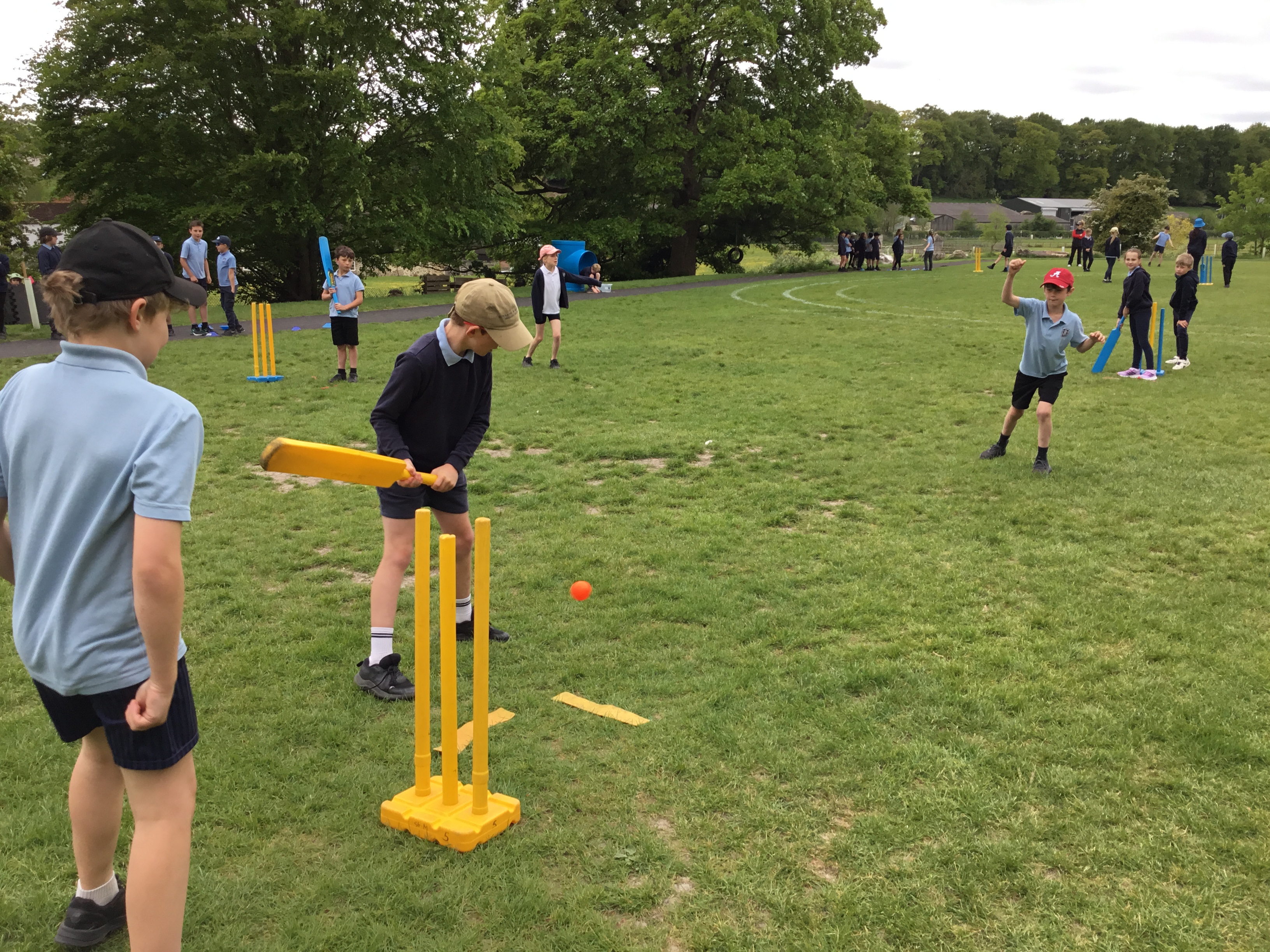 Rowan and Elder Play Cricket!