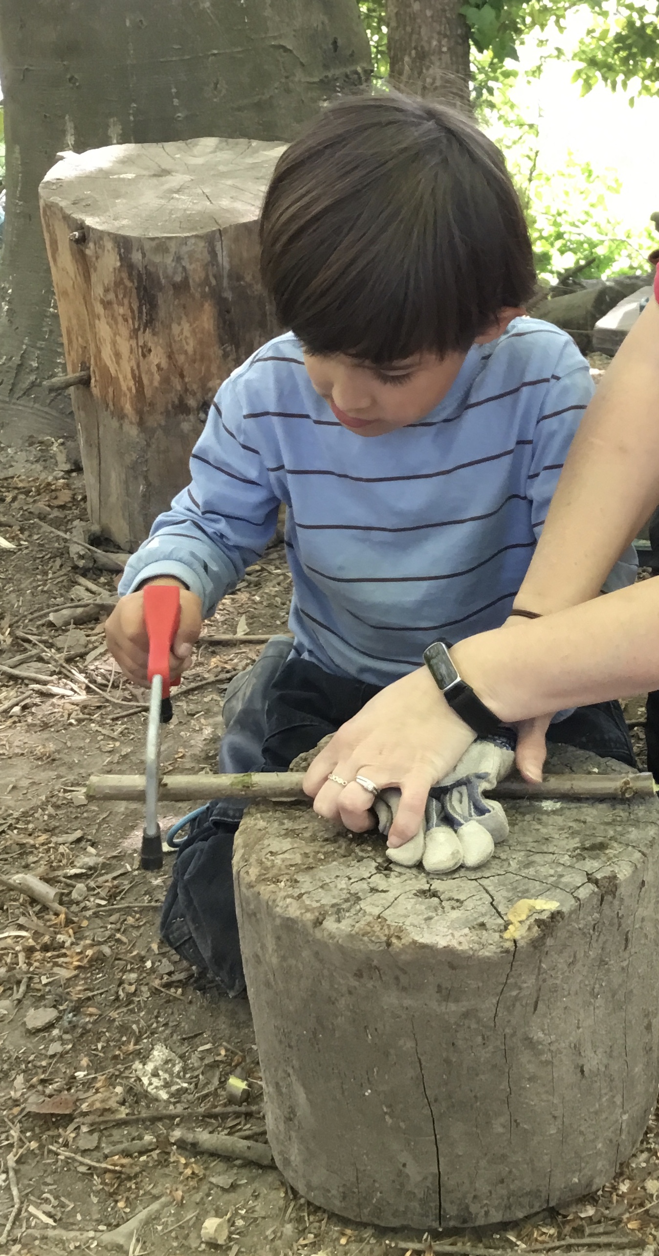 Acorns Having Fun in the Forest!
