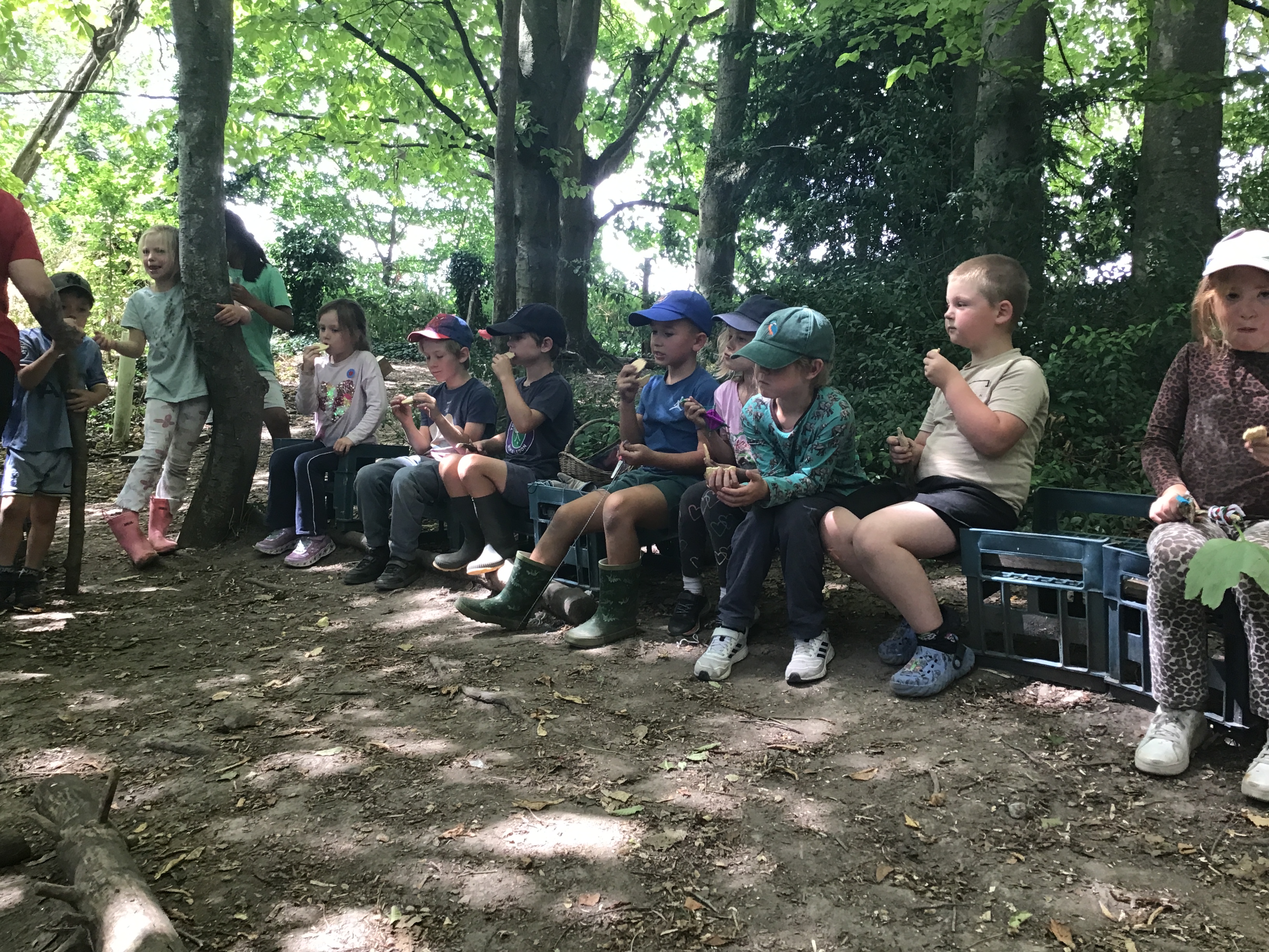 Fun in the forest!